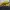 Onitsuka Tiger Casual Casual shoe Pria black yellow photo 5