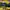 Onitsuka Tiger Casual Casual shoe Pria black yellow photo 1