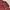 Y2K Formal shirt Pria burgundy brown photo 2