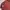 Y2K Formal shirt Pria burgundy brown photo 4