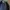 Nike Vintage Sweatshirt Pria navy black photo 5