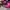 Luxury Minimalist Gym bag Wanita pink photo 4