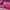 Luxury Minimalist Gym bag Wanita pink photo 2