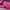 Luxury Minimalist Gym Bag Wanita Pink