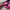 Luxury Minimalist Gym bag Wanita pink photo 3