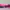 Luxury Minimalist Gym bag Wanita pink photo 5