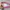 Minimalist Makeup bag Wanita pink photo 4