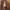 Japanese brand Vintage Y2K Skirt Wanita brown photo 7