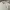Burberry Casual Polo shirt Pria gray photo 3