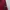 Umbro Sportswear Windbreaker Pria red photo 6