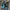 Nike Luxury Sneakers Pria blue photo 1
