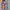 Crocs Streetwear Sandals & Slide Kids Pink Blue