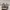 VANS Streetwear Skater Sneakers Pria brown photo 4