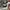 VANS Streetwear Skater Sneakers Pria brown photo 5