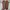 VANS Streetwear Skater Sneakers Pria brown photo 6