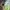 Adidas Sportswear Sneakers Pria white photo 3