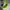 Adidas Sportswear Sneakers Pria white photo 4