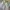Adidas Sportswear Sneakers Pria white photo 7