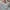 Skechers Streetwear Sportswear Sneakers Wanita white photo 2