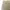 Vintage Streetwear Pria tan cream photo 5