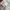 Japanese brand Vintage Minimalist Shirt Wanita white gray photo 2