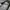 Y2K Trench coat Pria white navy photo 3