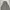 Y2K Trench coat Pria white navy photo 2