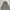 Y2K Trench Coat Pria White Navy