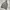 Y2K Trench coat Pria white navy photo 5