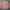 WHO.A.U Casual Sweater Pria pink photo 1