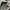 Streetwear Puffer jacket Pria gray photo 4