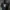 Luxury Puffer jacket Pria navy photo 6