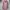 Coquette Casual Hoody Wanita pink gray photo 3
