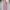 Coquette Casual Hoody Wanita pink gray photo 2