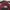 JanSport Vintage Y2K Bag Pria red photo 4