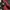 JanSport Vintage Y2K Bag Pria red photo 8