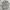 Kipling Minimalist Backpack Wanita gray photo 2