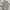 Kipling Minimalist Backpack Wanita Gray