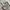 Kipling Minimalist Backpack Wanita gray photo 7