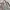 Kipling Minimalist Backpack Wanita gray photo 5