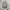 Kipling Minimalist Backpack Wanita gray photo 8