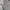 Kipling Minimalist Backpack Wanita gray photo 3