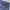Tommy Hilfiger Futurist Casual Short Pria navy photo 3