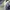 Salomon Casual Sneakers Pria blue photo 2