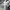 Salomon Casual Sneakers Pria Blue