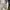 Lacoste Avant Garde Casual Polo shirt Pria cream photo 4