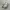 Adidas Casual Sneakers Pria gray photo 1