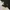 New Balance Sportswear Sneakers Pria brown black photo 1