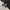 New Balance Sportswear Sneakers Pria white black photo 1