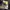 Japanese brand Gorpcore Sportswear Trench coat Pria green photo 4
